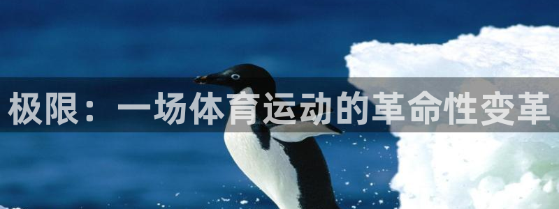 一竞技官网下载招商电话是多少号码:极限:一场体育运动的革命性
