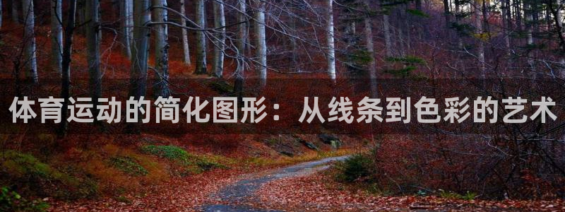 一竞技官方正版app五金厂:体育运动的简化图形:从线条到色彩