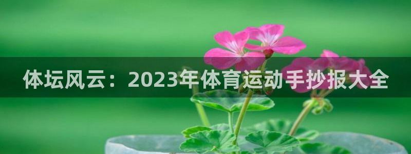 一竞技官网下载开户:体坛风云:2023年体育运动手抄报大全